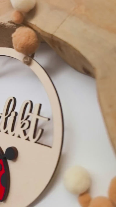 Marienkäfer Türschild personalisiert fürs Kinderzimmer, gefertigt in Wunschfarben, Geschenk Taufe, Geburt, Kindergeburtstag, Namensschild